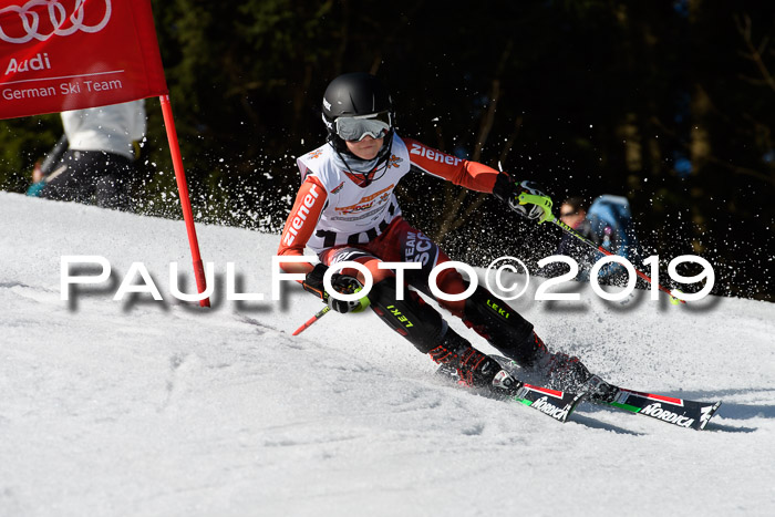 DSV Deutscher Schülercup U12 Finale 2019, Slalom Cross 03.03.2019