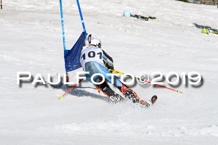 DSV Deutscher Schülercup U12 Finale 2019, Slalom Cross 03.03.2019