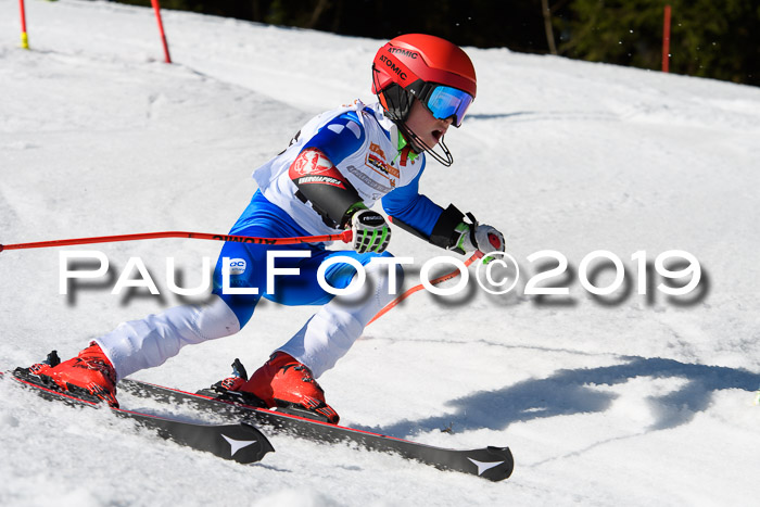 DSV Deutscher Schülercup U12 Finale 2019, Slalom Cross 03.03.2019