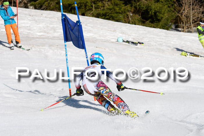 DSV Deutscher Schülercup U12 Finale 2019, Slalom Cross 03.03.2019
