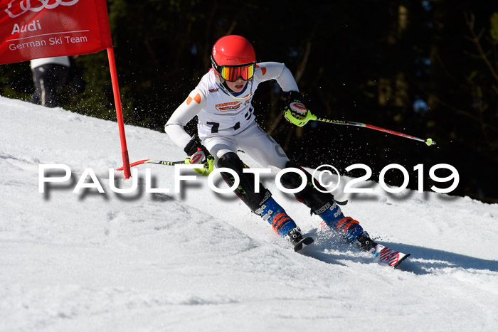 DSV Deutscher Schülercup U12 Finale 2019, Slalom Cross 03.03.2019