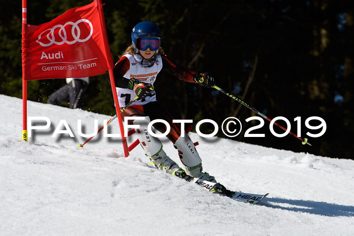 DSV Deutscher Schülercup U12 Finale 2019, Slalom Cross 03.03.2019
