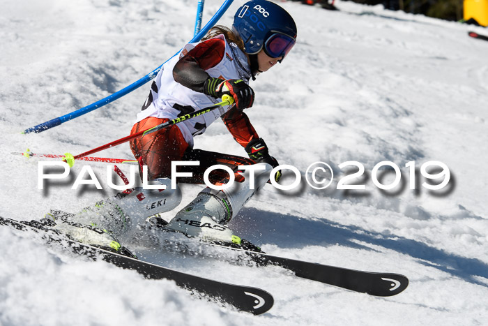 DSV Deutscher Schülercup U12 Finale 2019, Slalom Cross 03.03.2019