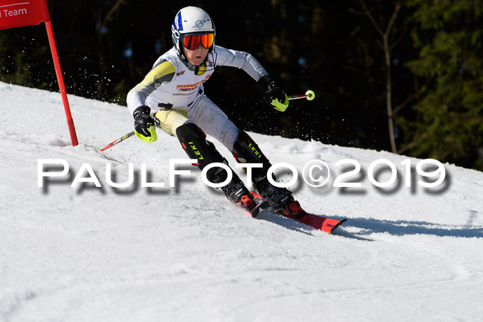 DSV Deutscher Schülercup U12 Finale 2019, Slalom Cross 03.03.2019