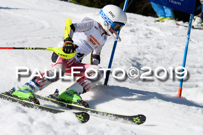 DSV Deutscher Schülercup U12 Finale 2019, Slalom Cross 03.03.2019