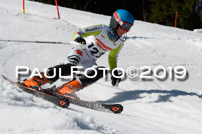 DSV Deutscher Schülercup U12 Finale 2019, Slalom Cross 03.03.2019