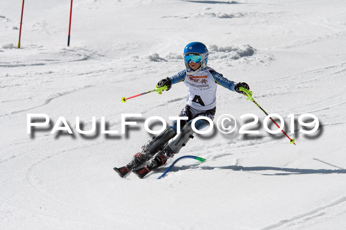 DSV Deutscher Schülercup U12 Finale 2019, Slalom Cross 03.03.2019