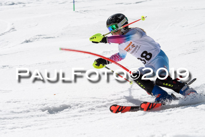 DSV Deutscher Schülercup U12 Finale 2019, Slalom Cross 03.03.2019