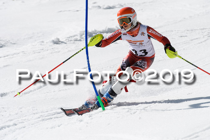 DSV Deutscher Schülercup U12 Finale 2019, Slalom Cross 03.03.2019