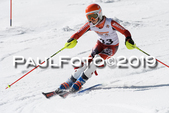 DSV Deutscher Schülercup U12 Finale 2019, Slalom Cross 03.03.2019