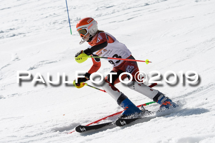 DSV Deutscher Schülercup U12 Finale 2019, Slalom Cross 03.03.2019