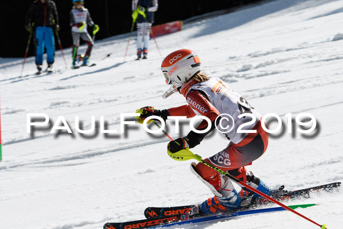 DSV Deutscher Schülercup U12 Finale 2019, Slalom Cross 03.03.2019