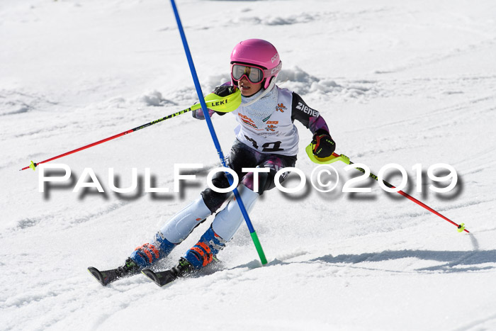 DSV Deutscher Schülercup U12 Finale 2019, Slalom Cross 03.03.2019