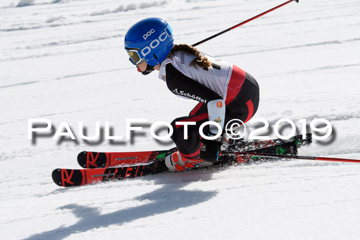 DSV Deutscher Schülercup U12 Finale 2019, Slalom Cross 03.03.2019