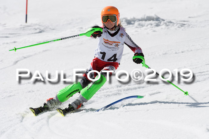 DSV Deutscher Schülercup U12 Finale 2019, Slalom Cross 03.03.2019