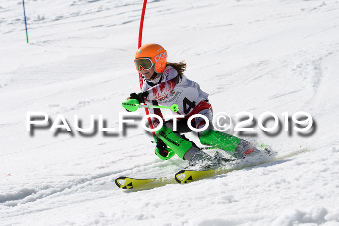 DSV Deutscher Schülercup U12 Finale 2019, Slalom Cross 03.03.2019