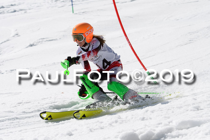 DSV Deutscher Schülercup U12 Finale 2019, Slalom Cross 03.03.2019