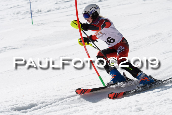 DSV Deutscher Schülercup U12 Finale 2019, Slalom Cross 03.03.2019