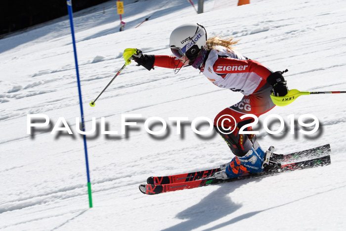 DSV Deutscher Schülercup U12 Finale 2019, Slalom Cross 03.03.2019