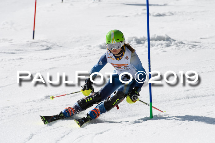 DSV Deutscher Schülercup U12 Finale 2019, Slalom Cross 03.03.2019