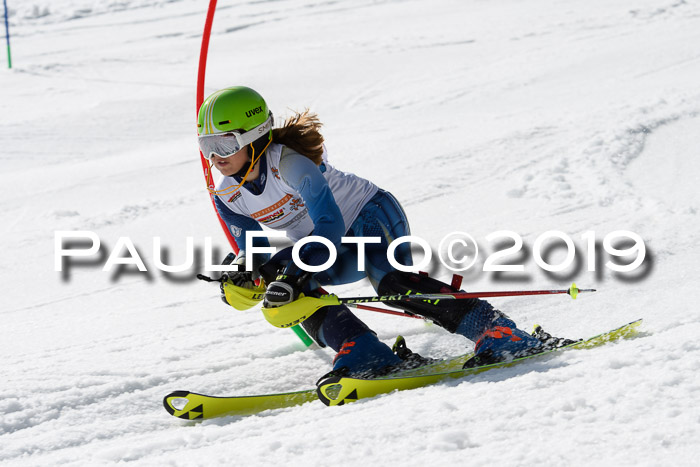 DSV Deutscher Schülercup U12 Finale 2019, Slalom Cross 03.03.2019