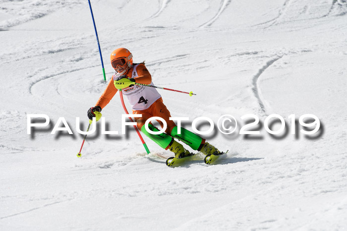 DSV Deutscher Schülercup U12 Finale 2019, Slalom Cross 03.03.2019