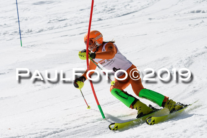 DSV Deutscher Schülercup U12 Finale 2019, Slalom Cross 03.03.2019