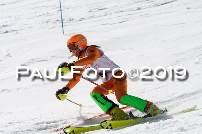 DSV Deutscher Schülercup U12 Finale 2019, Slalom Cross 03.03.2019