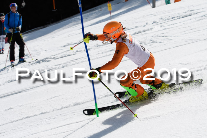 DSV Deutscher Schülercup U12 Finale 2019, Slalom Cross 03.03.2019