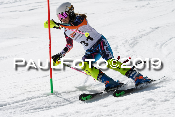 DSV Deutscher Schülercup U12 Finale 2019, Slalom Cross 03.03.2019