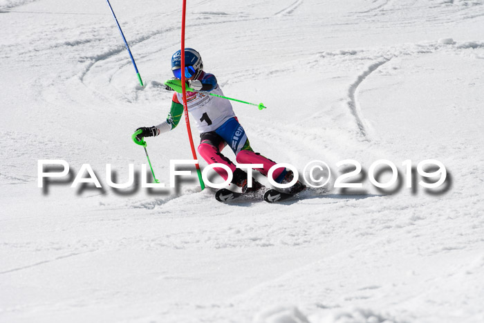 DSV Deutscher Schülercup U12 Finale 2019, Slalom Cross 03.03.2019