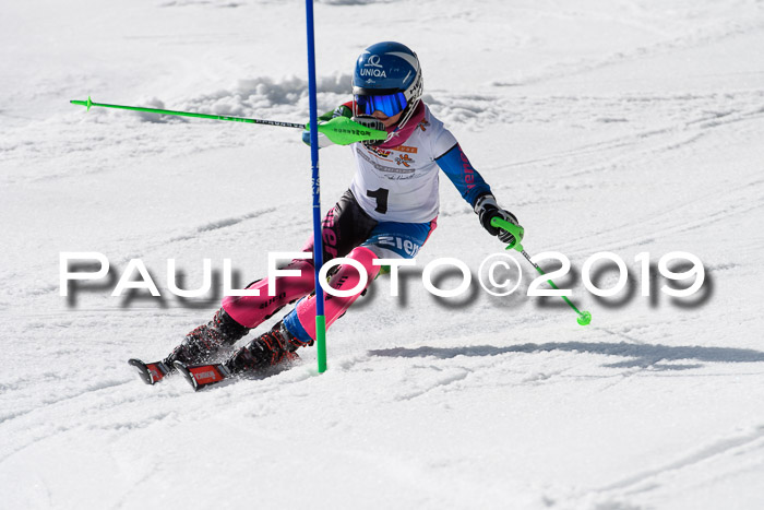 DSV Deutscher Schülercup U12 Finale 2019, Slalom Cross 03.03.2019