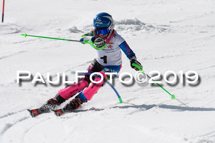 DSV Deutscher Schülercup U12 Finale 2019, Slalom Cross 03.03.2019