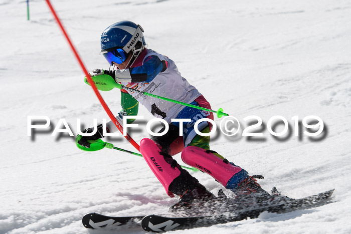 DSV Deutscher Schülercup U12 Finale 2019, Slalom Cross 03.03.2019