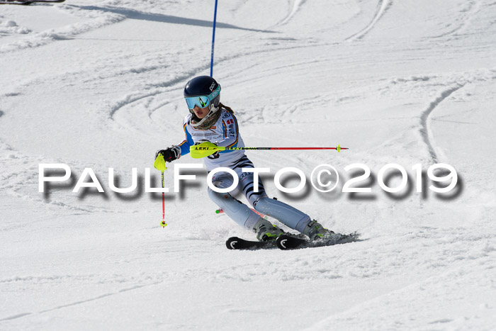 DSV Deutscher Schülercup U12 Finale 2019, Slalom Cross 03.03.2019