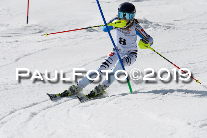 DSV Deutscher Schülercup U12 Finale 2019, Slalom Cross 03.03.2019