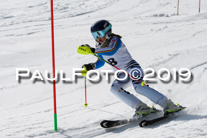 DSV Deutscher Schülercup U12 Finale 2019, Slalom Cross 03.03.2019