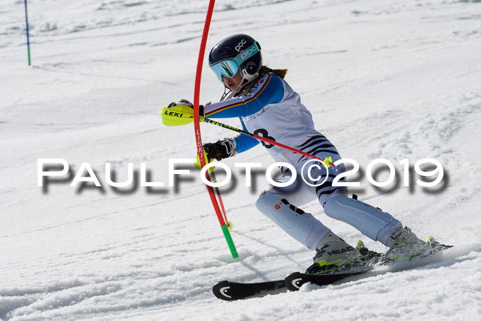 DSV Deutscher Schülercup U12 Finale 2019, Slalom Cross 03.03.2019