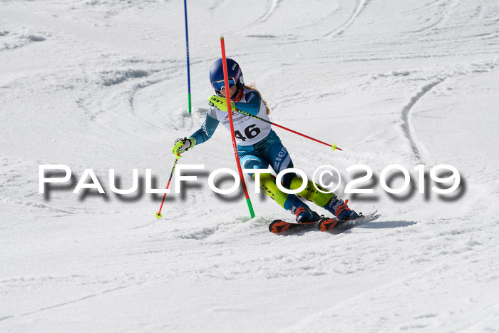 DSV Deutscher Schülercup U12 Finale 2019, Slalom Cross 03.03.2019
