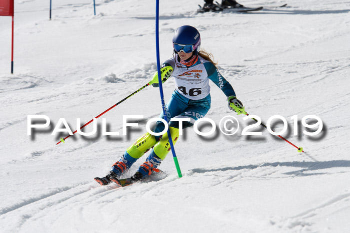 DSV Deutscher Schülercup U12 Finale 2019, Slalom Cross 03.03.2019