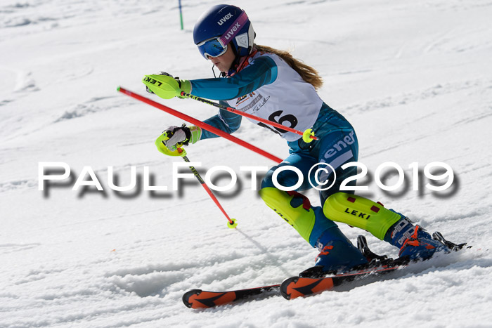 DSV Deutscher Schülercup U12 Finale 2019, Slalom Cross 03.03.2019