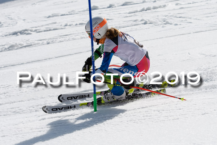 DSV Deutscher Schülercup U12 Finale 2019, Slalom Cross 03.03.2019