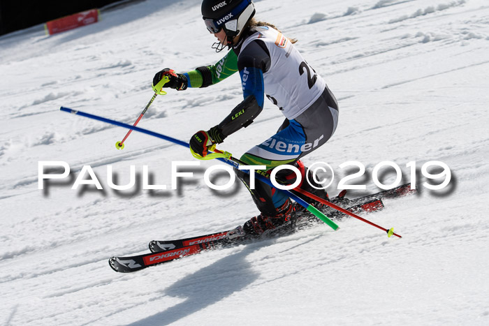 DSV Deutscher Schülercup U12 Finale 2019, Slalom Cross 03.03.2019
