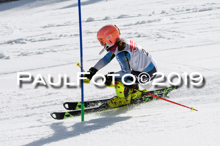 DSV Deutscher Schülercup U12 Finale 2019, Slalom Cross 03.03.2019