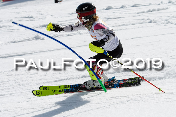 DSV Deutscher Schülercup U12 Finale 2019, Slalom Cross 03.03.2019