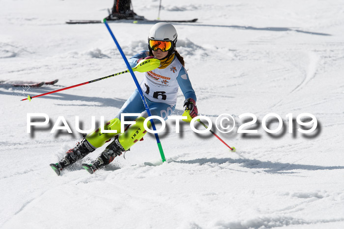 DSV Deutscher Schülercup U12 Finale 2019, Slalom Cross 03.03.2019