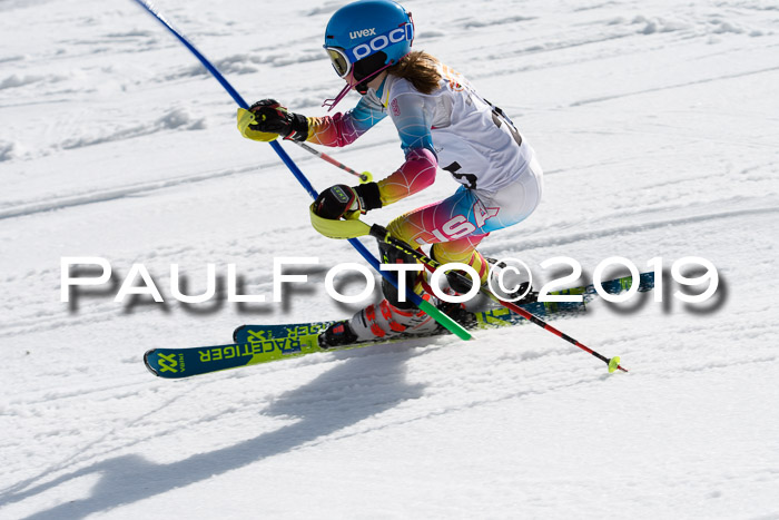 DSV Deutscher Schülercup U12 Finale 2019, Slalom Cross 03.03.2019