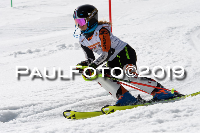 DSV Deutscher Schülercup U12 Finale 2019, Slalom Cross 03.03.2019