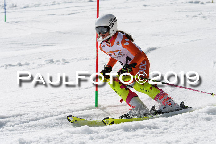 DSV Deutscher Schülercup U12 Finale 2019, Slalom Cross 03.03.2019