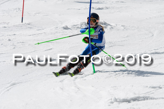 DSV Deutscher Schülercup U12 Finale 2019, Slalom Cross 03.03.2019